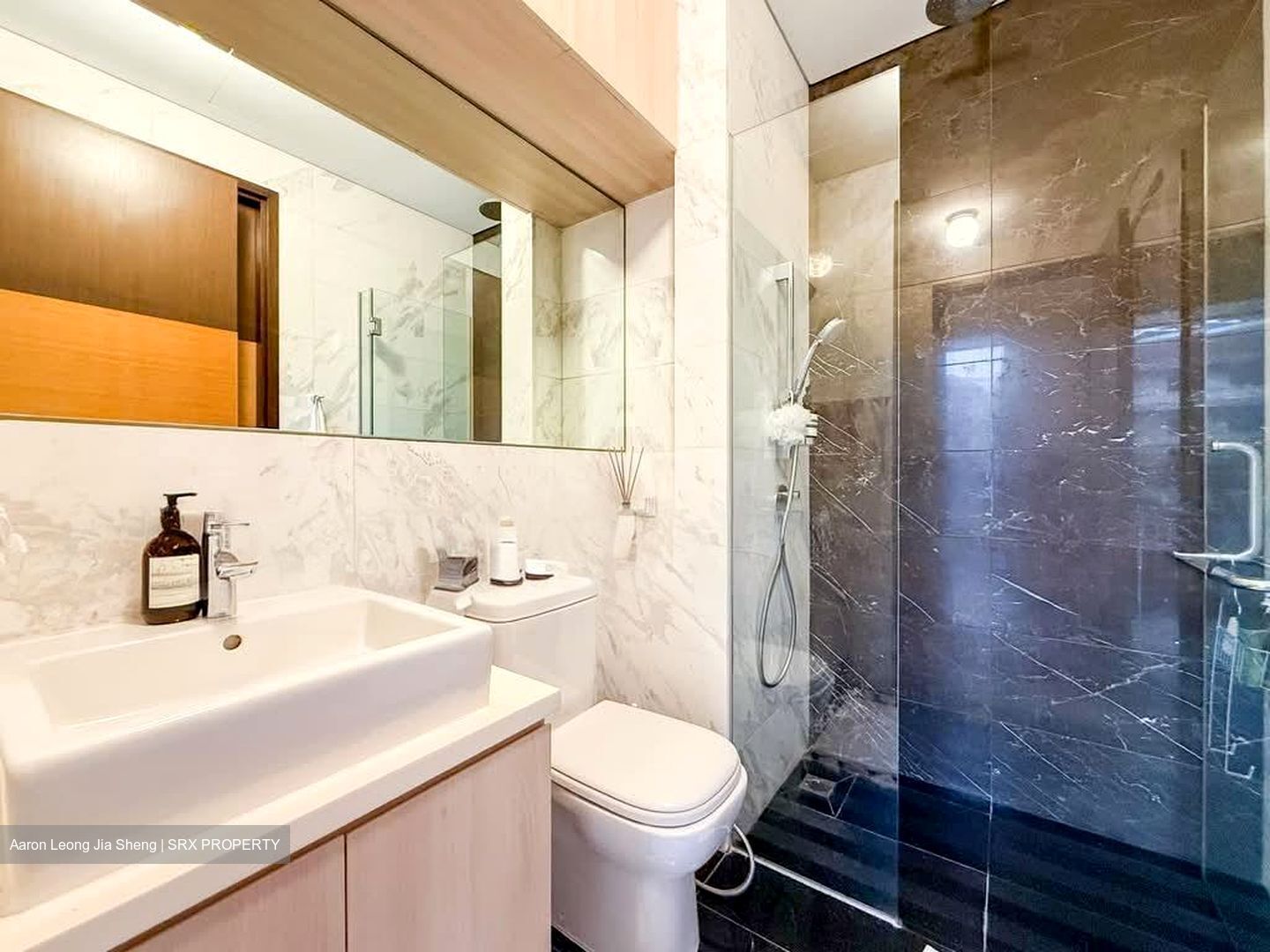 Harbour Suites (D4), Apartment #560924851